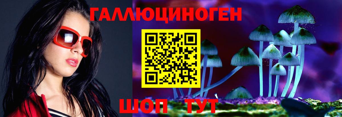 Кизляр  Псилоцибиновые грибы ЛСД  Псилоцибиновые грибы мицелий  Вход с VPN 