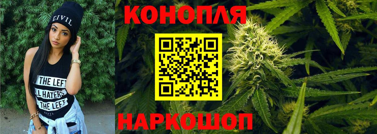 Марихуана конопля Кизляр
